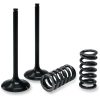 Ventil Indsugning STÅL Prox INTAKE VALVE/SPRING KIT – miniature 1