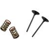 Ventil Indsugning STÅL Prox INTAKE VALVE/SPRING KIT – miniature 1