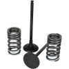 Ventilsæt Stål WISECO – miniature 7