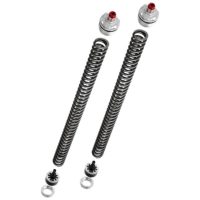 YSS Fork Upgrade Kit (Harder Springs)